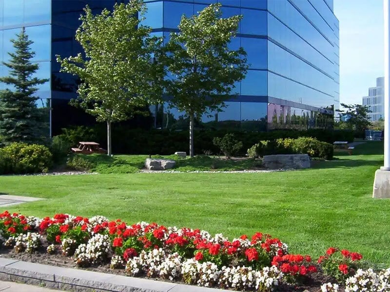 corporate 4